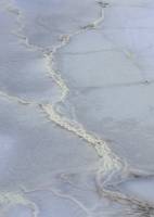 Source hydrothermale Hveravellir (Islande)